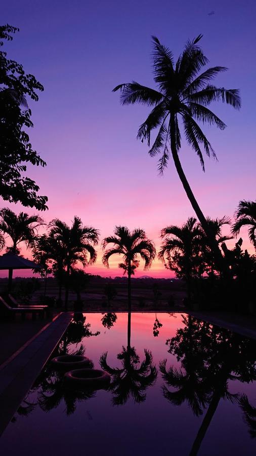 Hoi An Four Seasons Villa 外观 照片